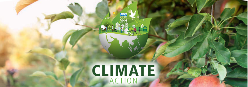 Climate Action at Sherwood