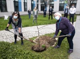 Sherwood Forest Hospitals’ second Hope Orchard launches during National Tree Planting week