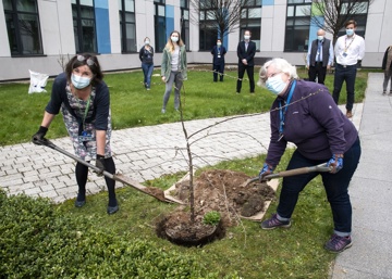 Sherwood Forest Hospitals’ second Hope Orchard launches during National Tree Planting week