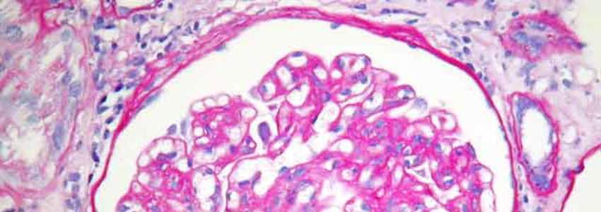 The Department of Cellular Pathology
