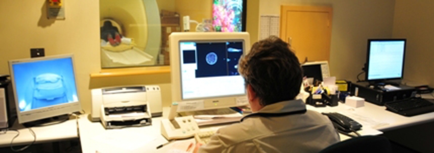 Radiology (X-Ray)
