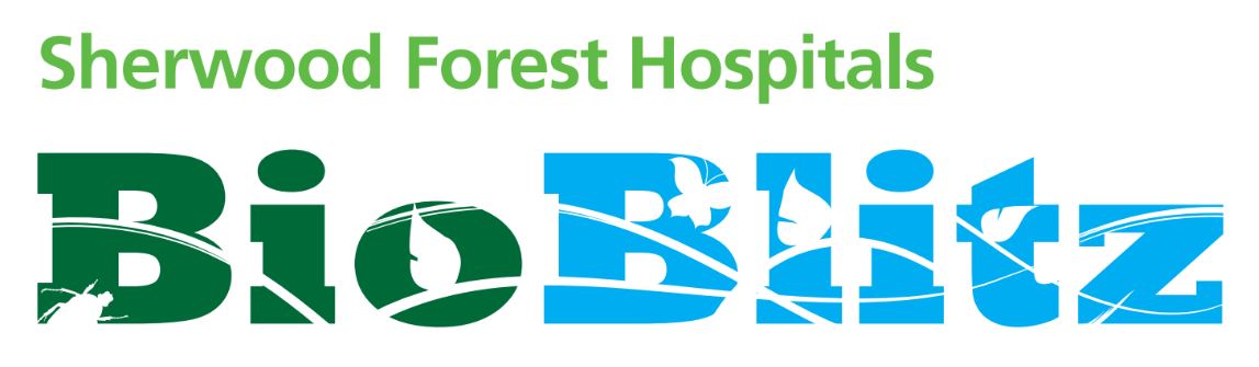 Bioblitz logo