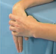 Wrist extensor stretch
