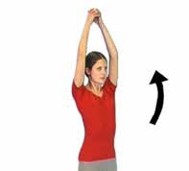 Passive movement - stretching up